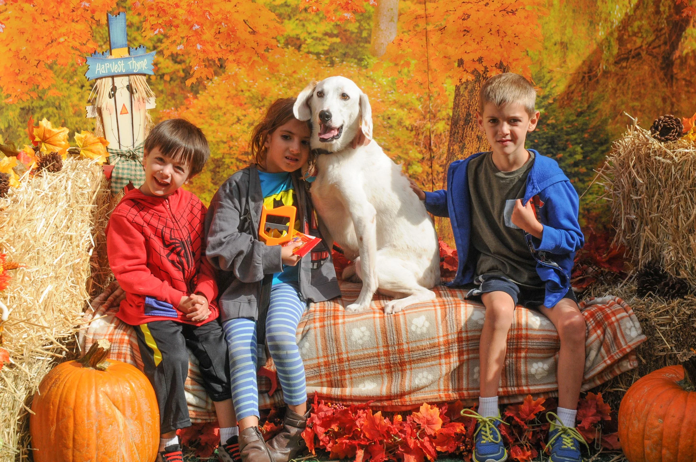 OrchardBlockParty-032