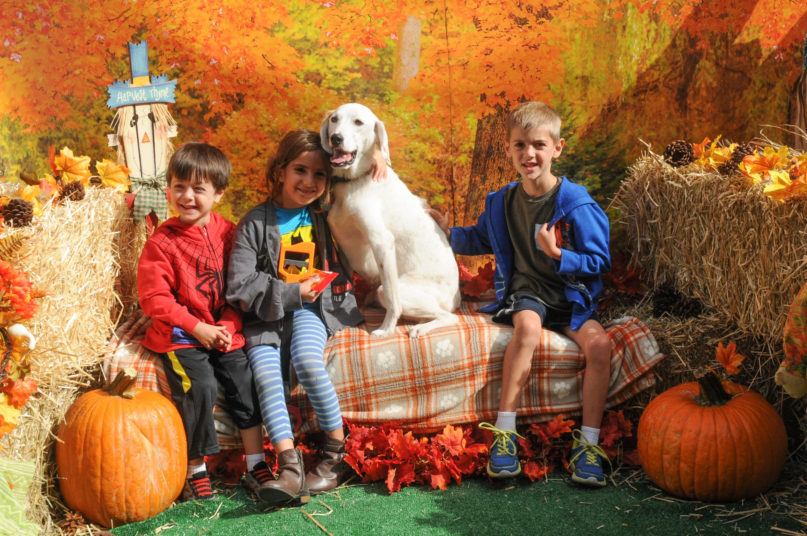 OrchardBlockParty-033