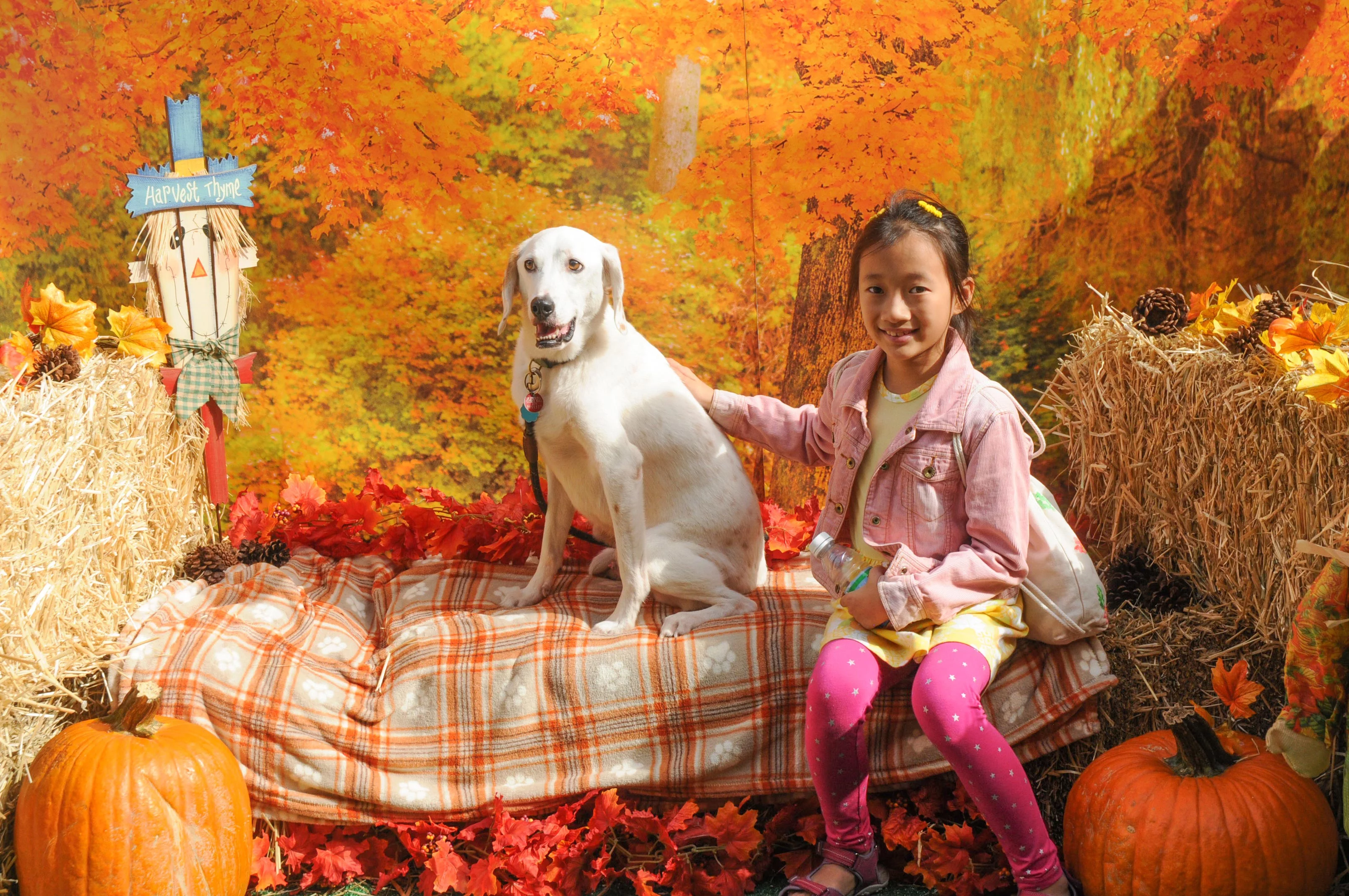 OrchardBlockParty-034