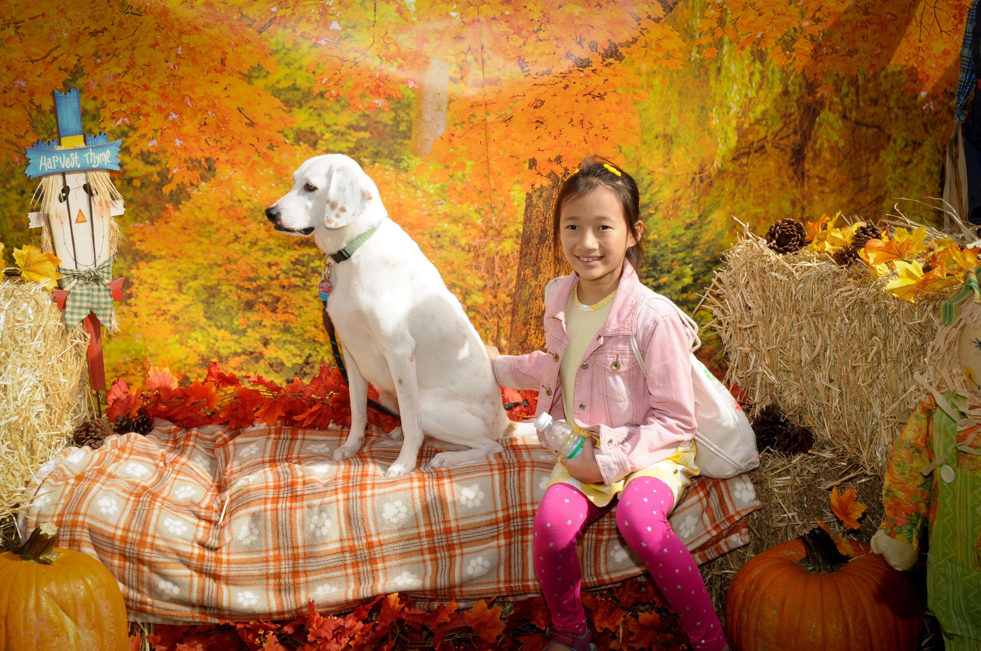 OrchardBlockParty-035