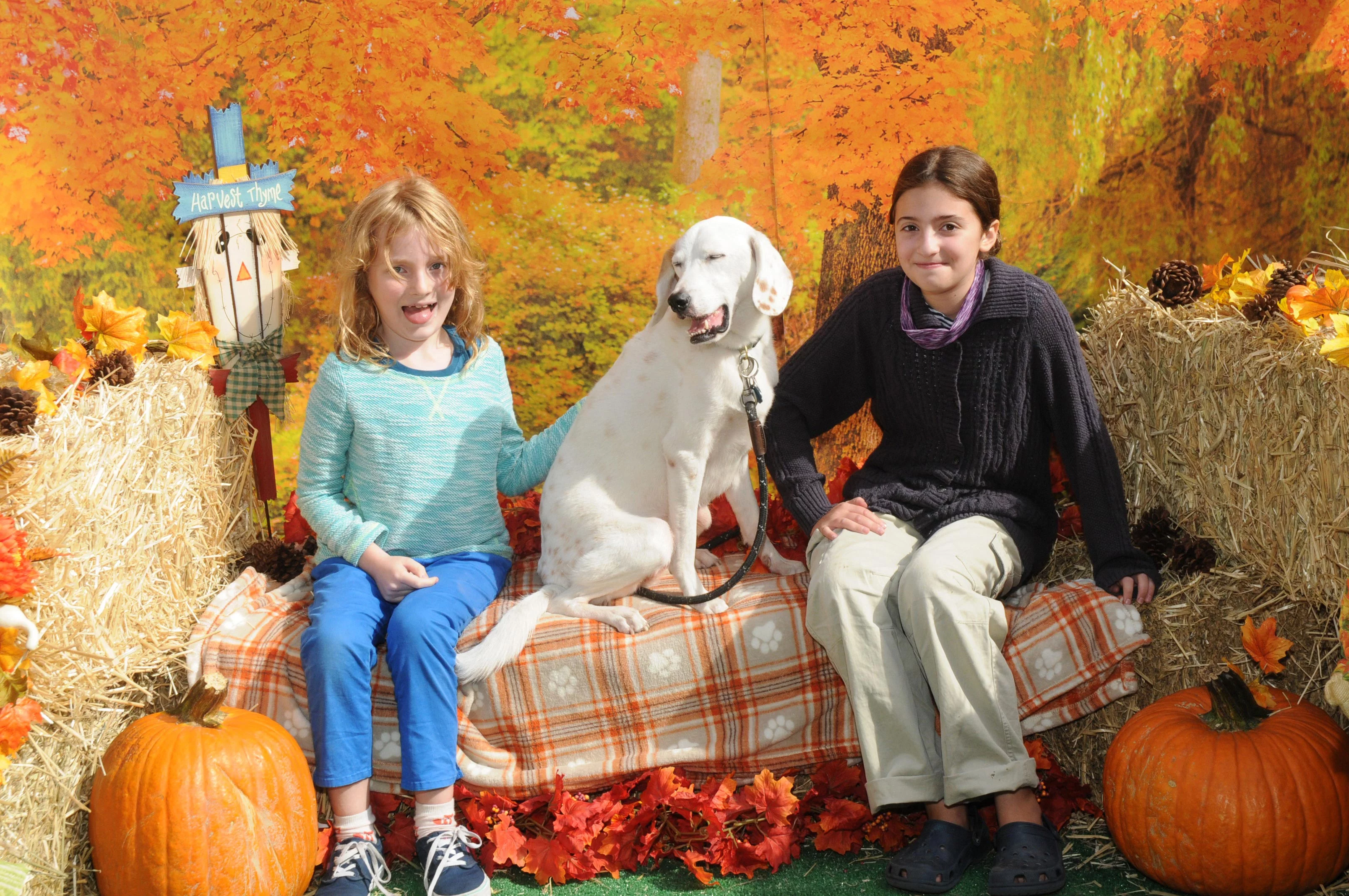 OrchardBlockParty-036