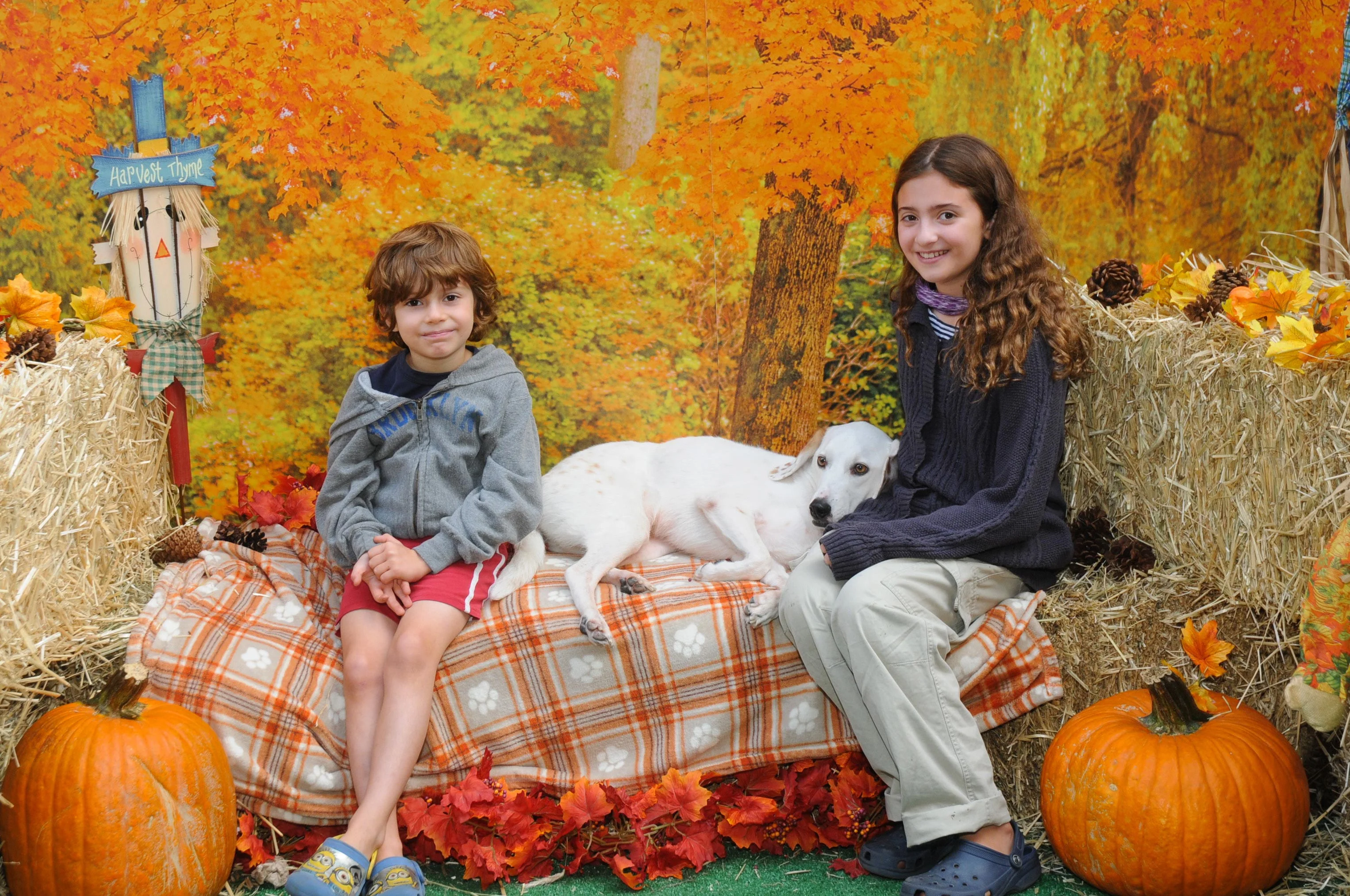 OrchardBlockParty-039