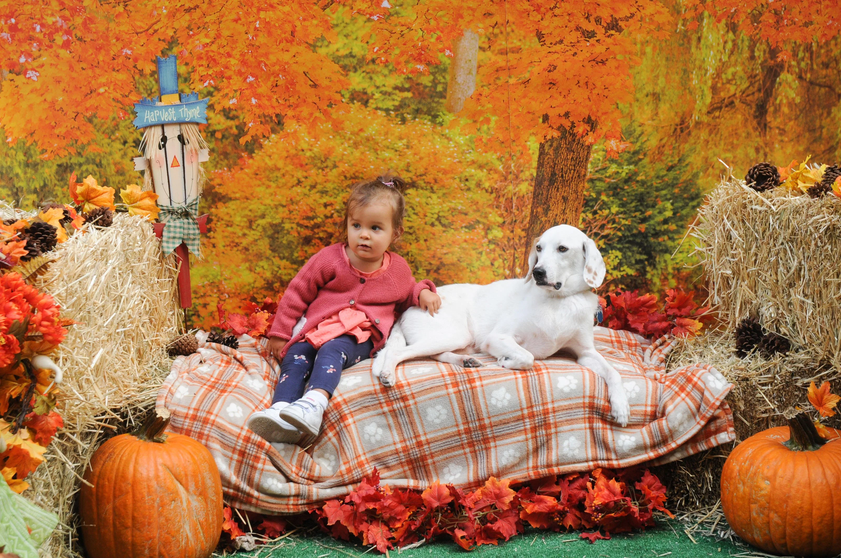 OrchardBlockParty-040