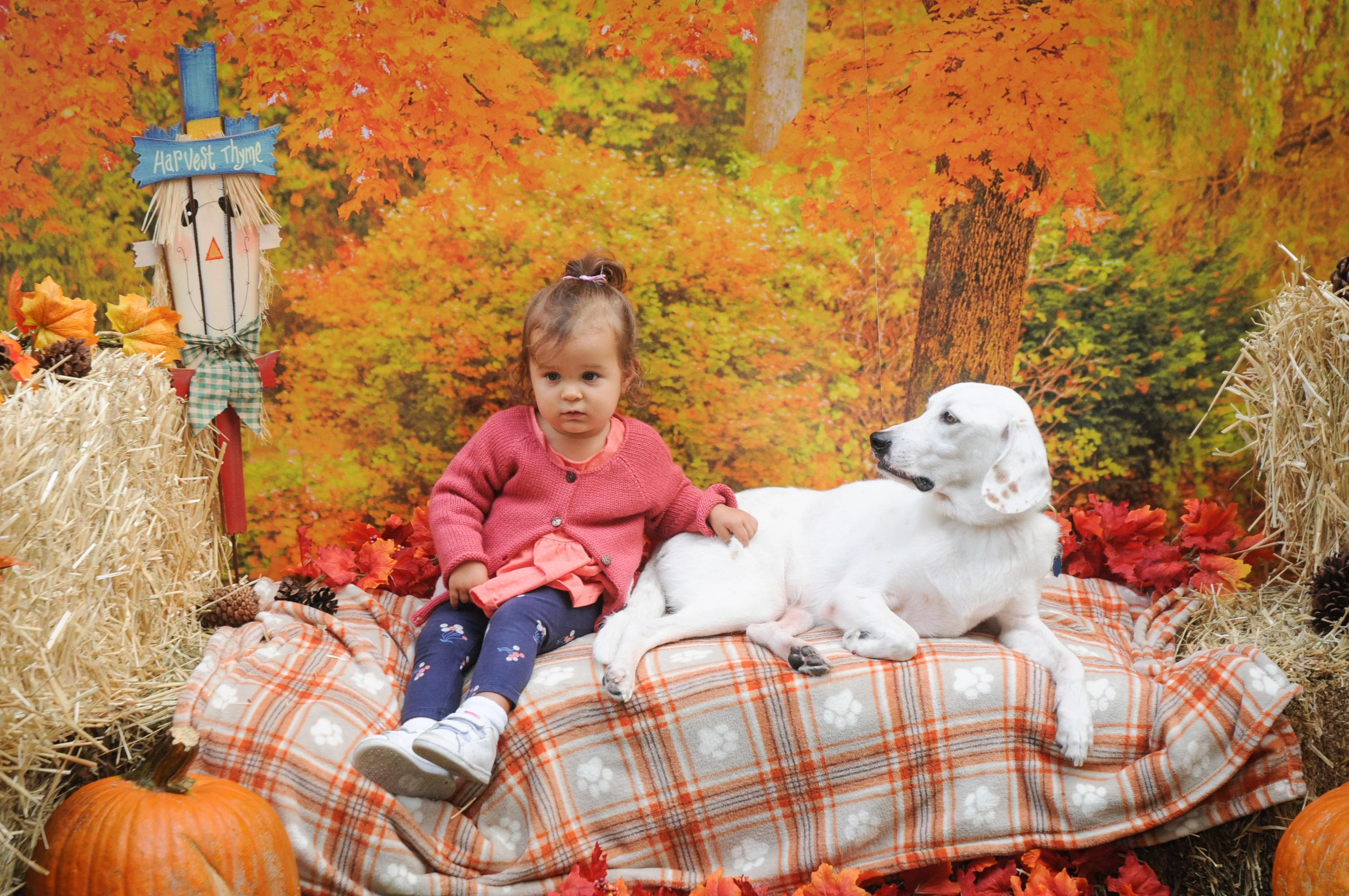 OrchardBlockParty-042