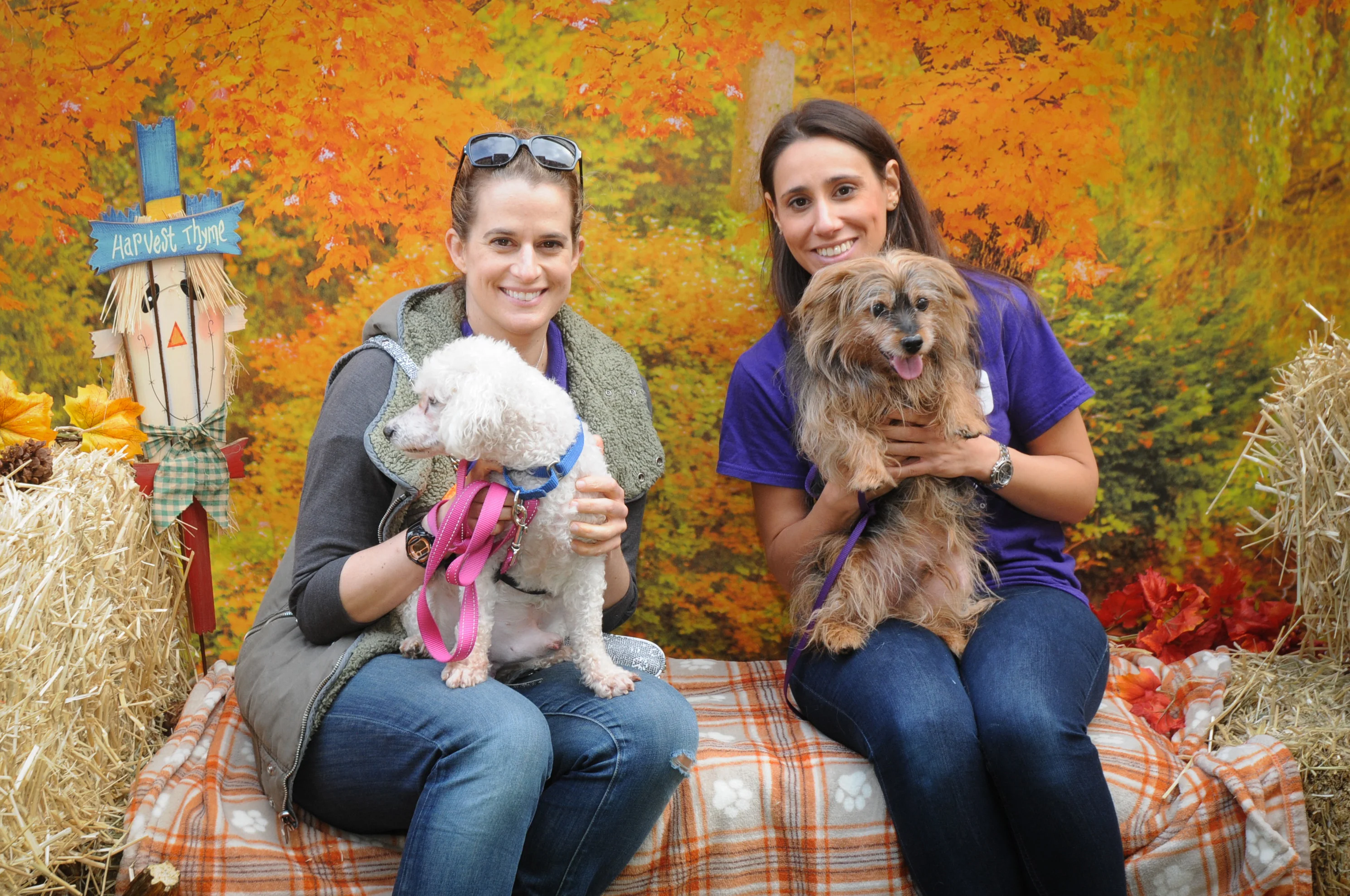 OrchardBlockParty-046