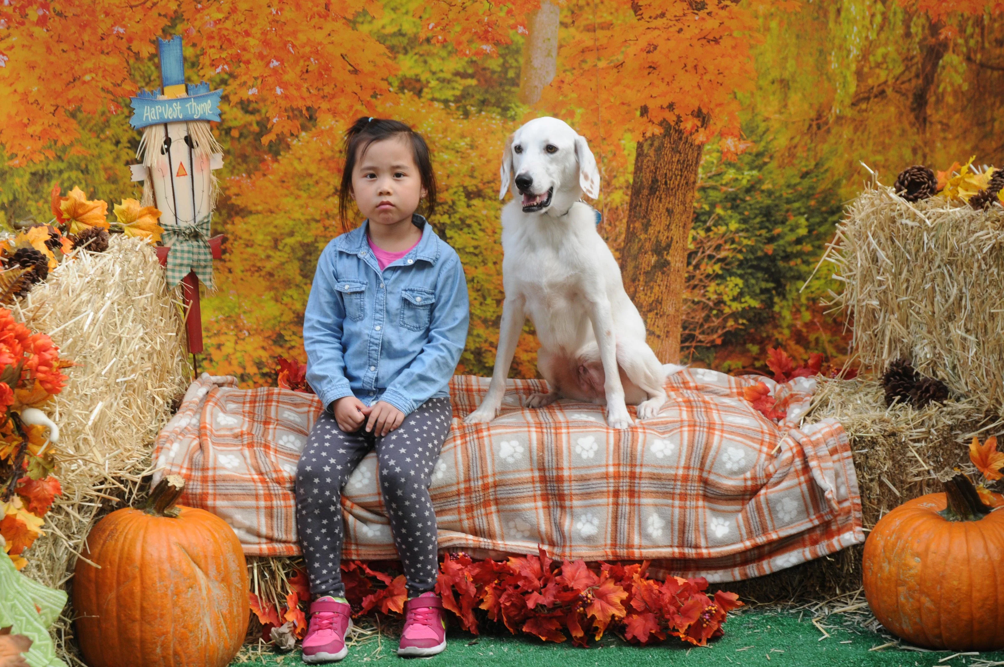 OrchardBlockParty-048