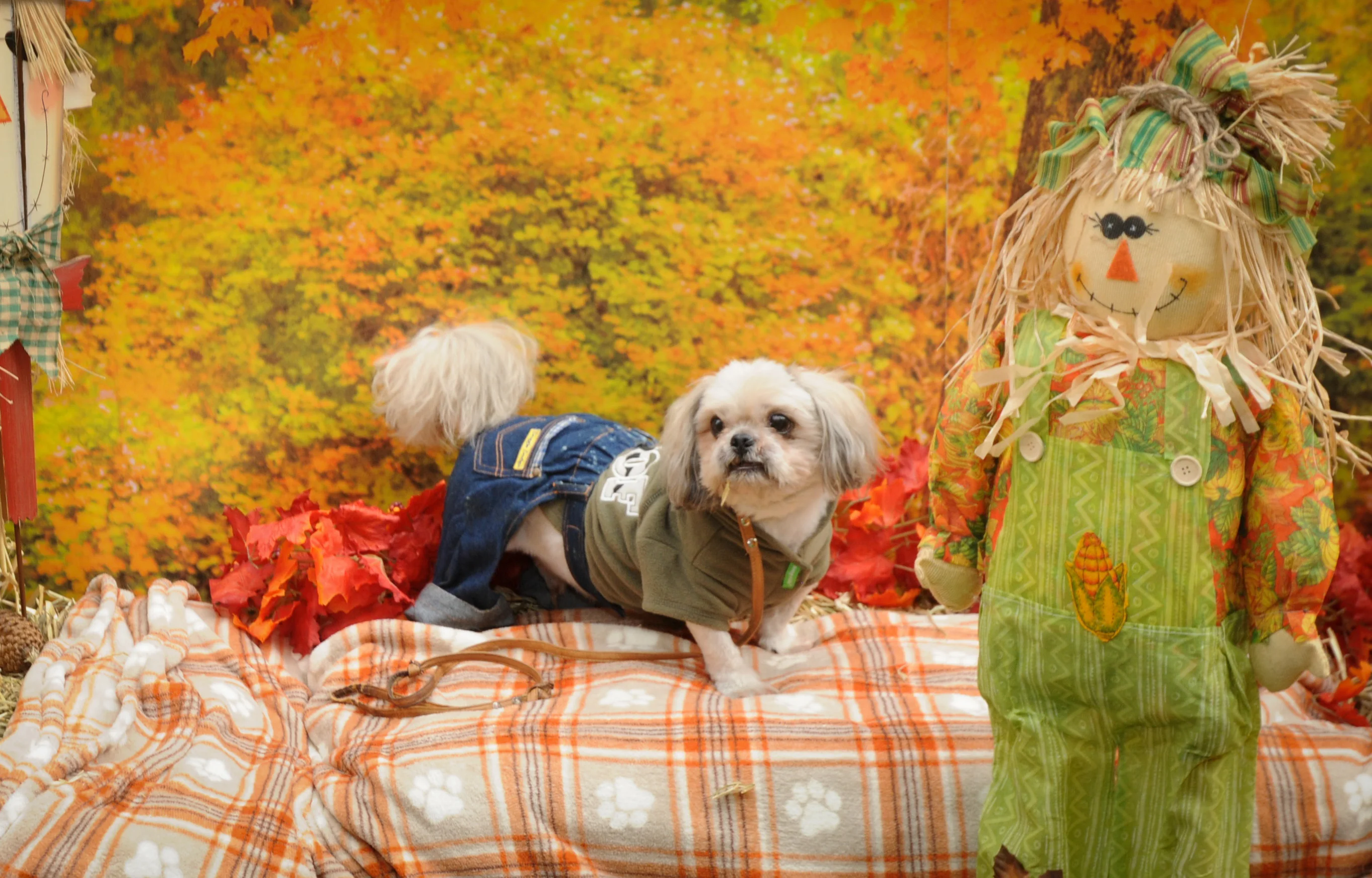 OrchardBlockParty-107