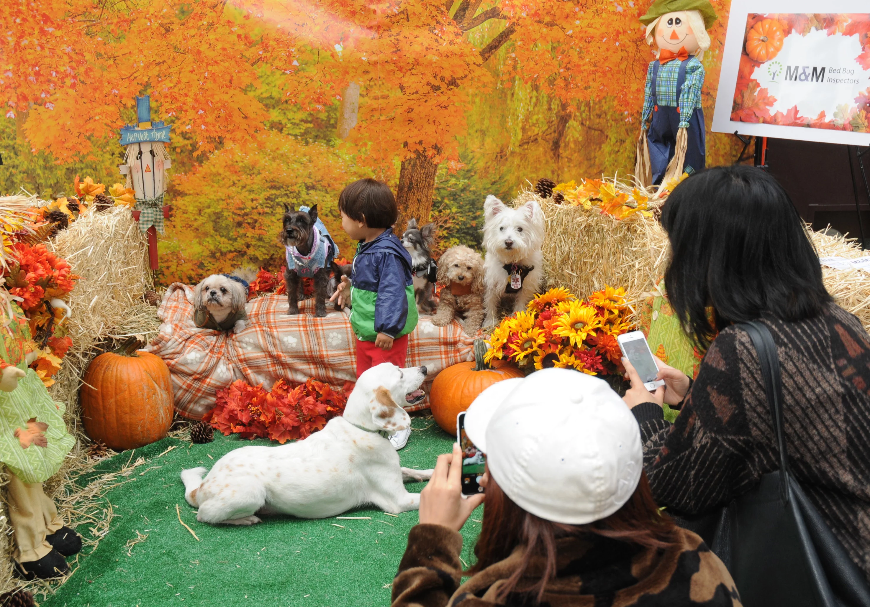 OrchardBlockParty-116