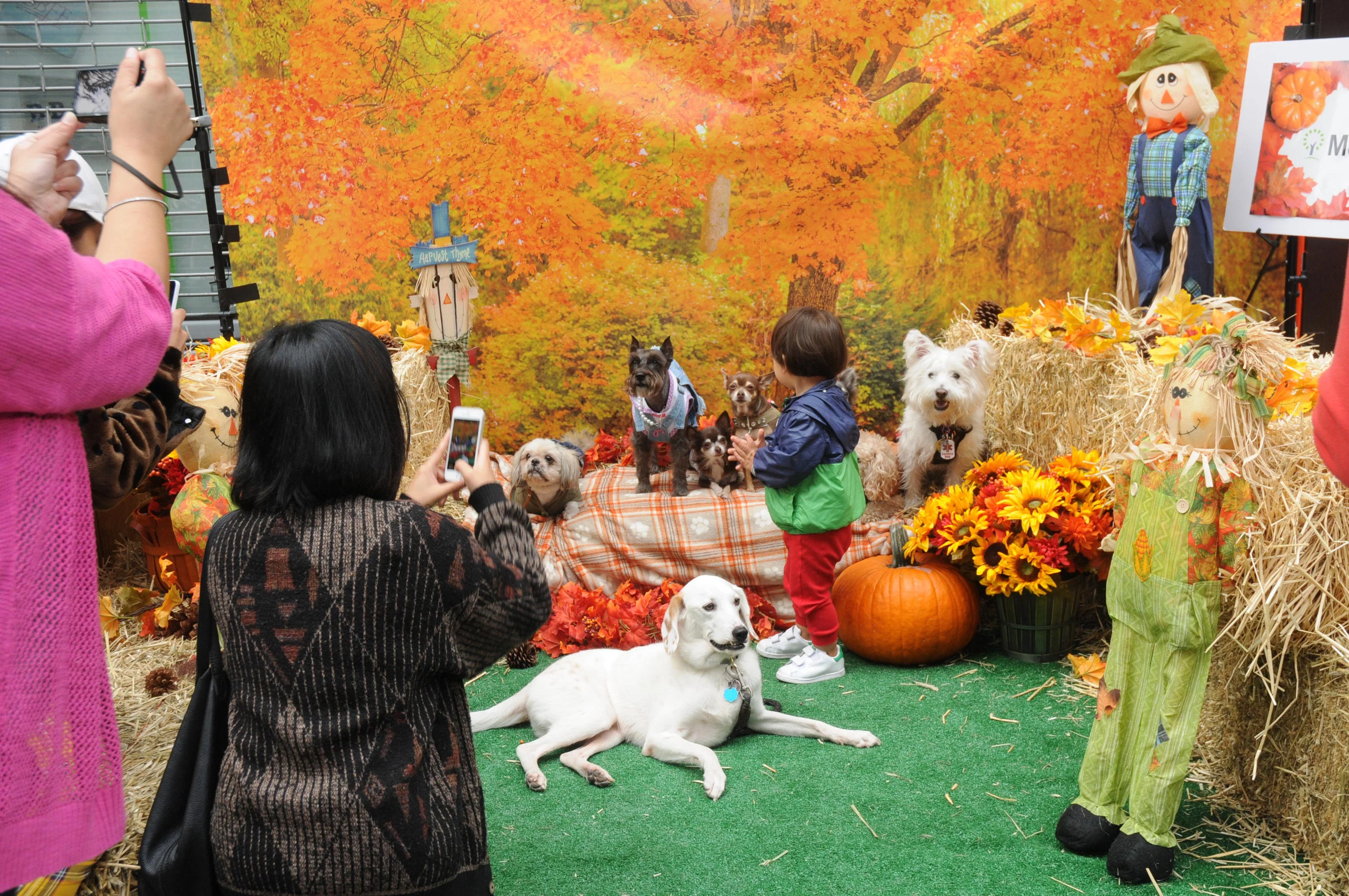 OrchardBlockParty-117