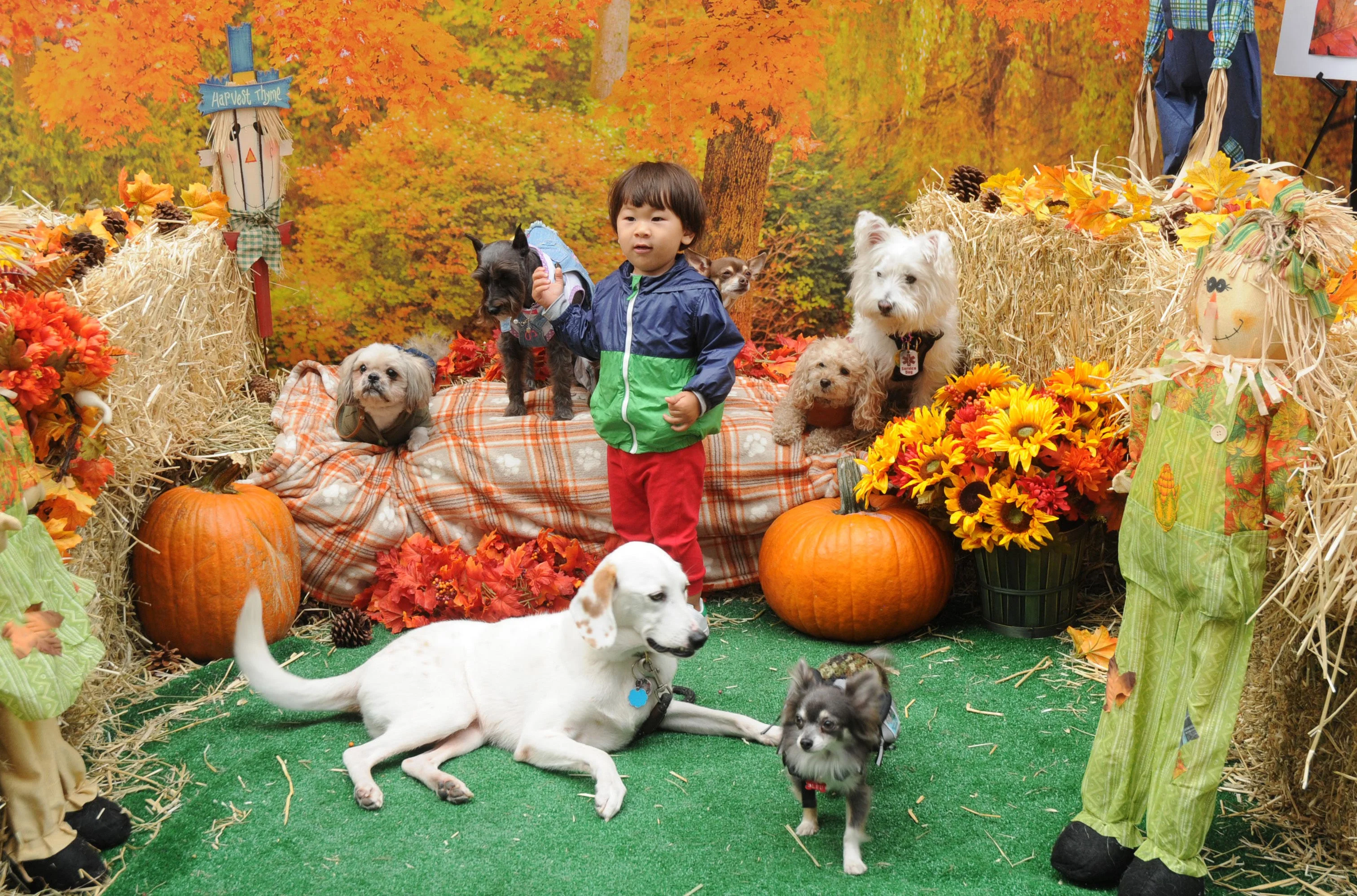 OrchardBlockParty-118