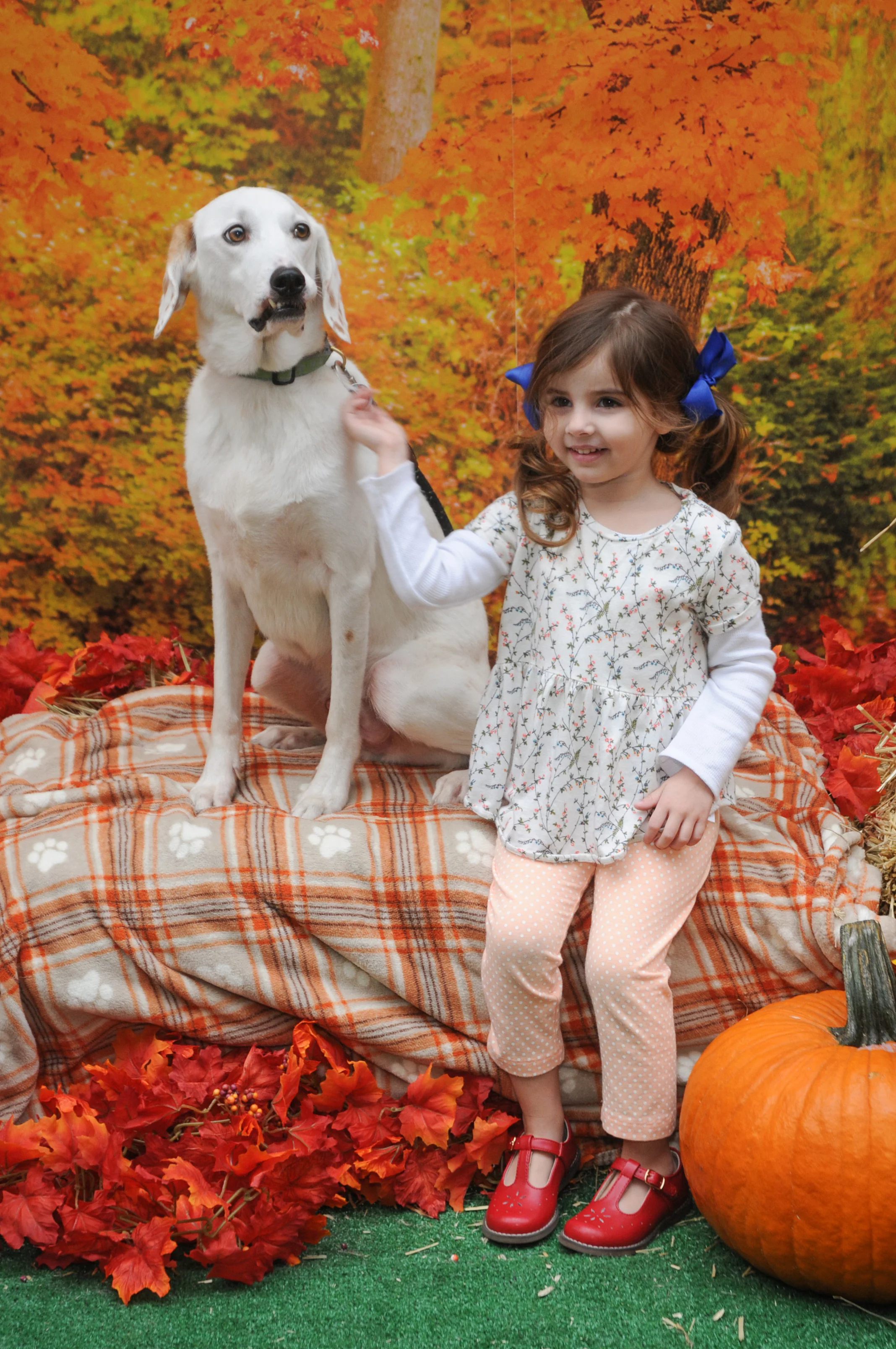 OrchardBlockParty-136