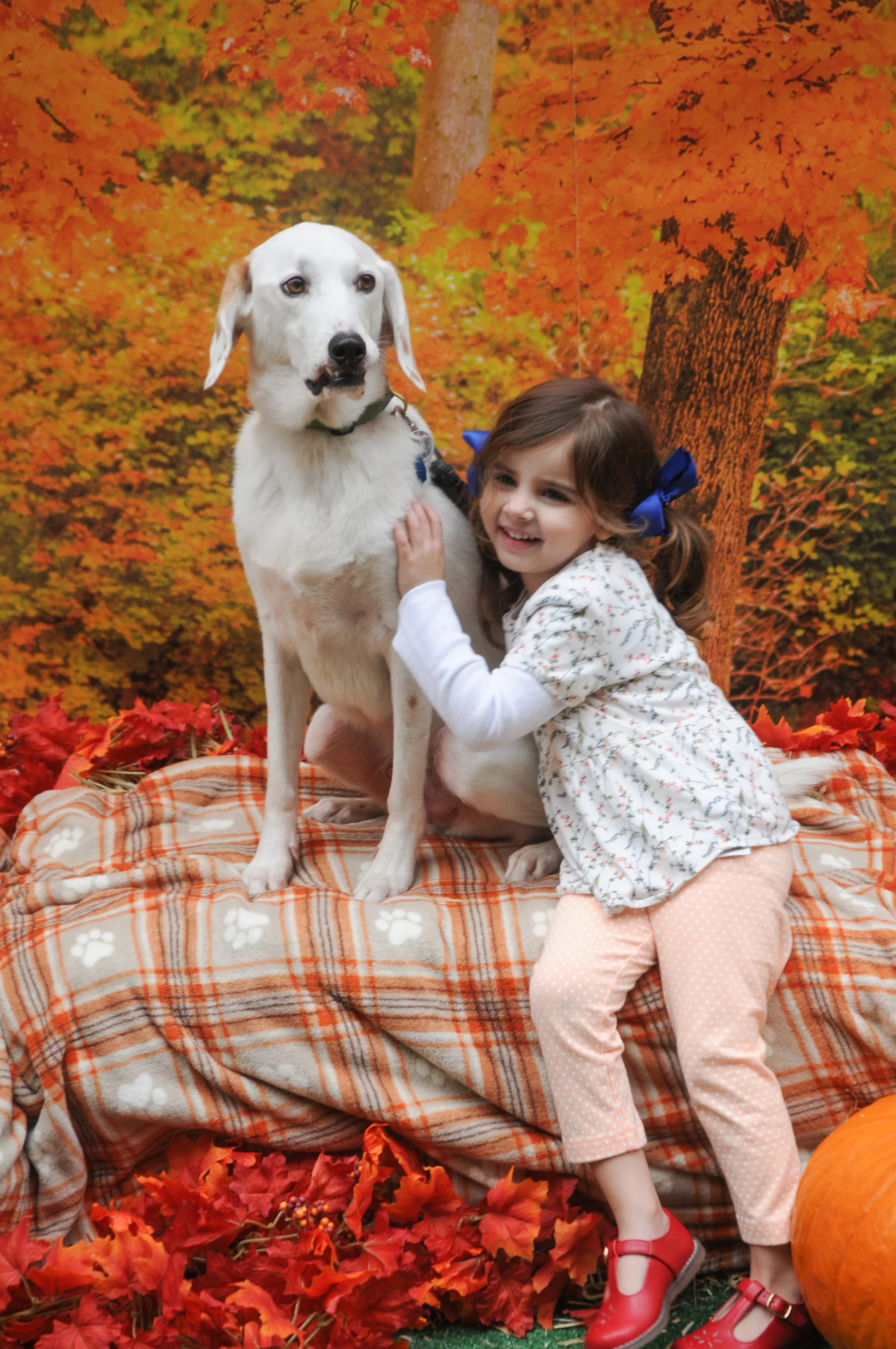 OrchardBlockParty-137