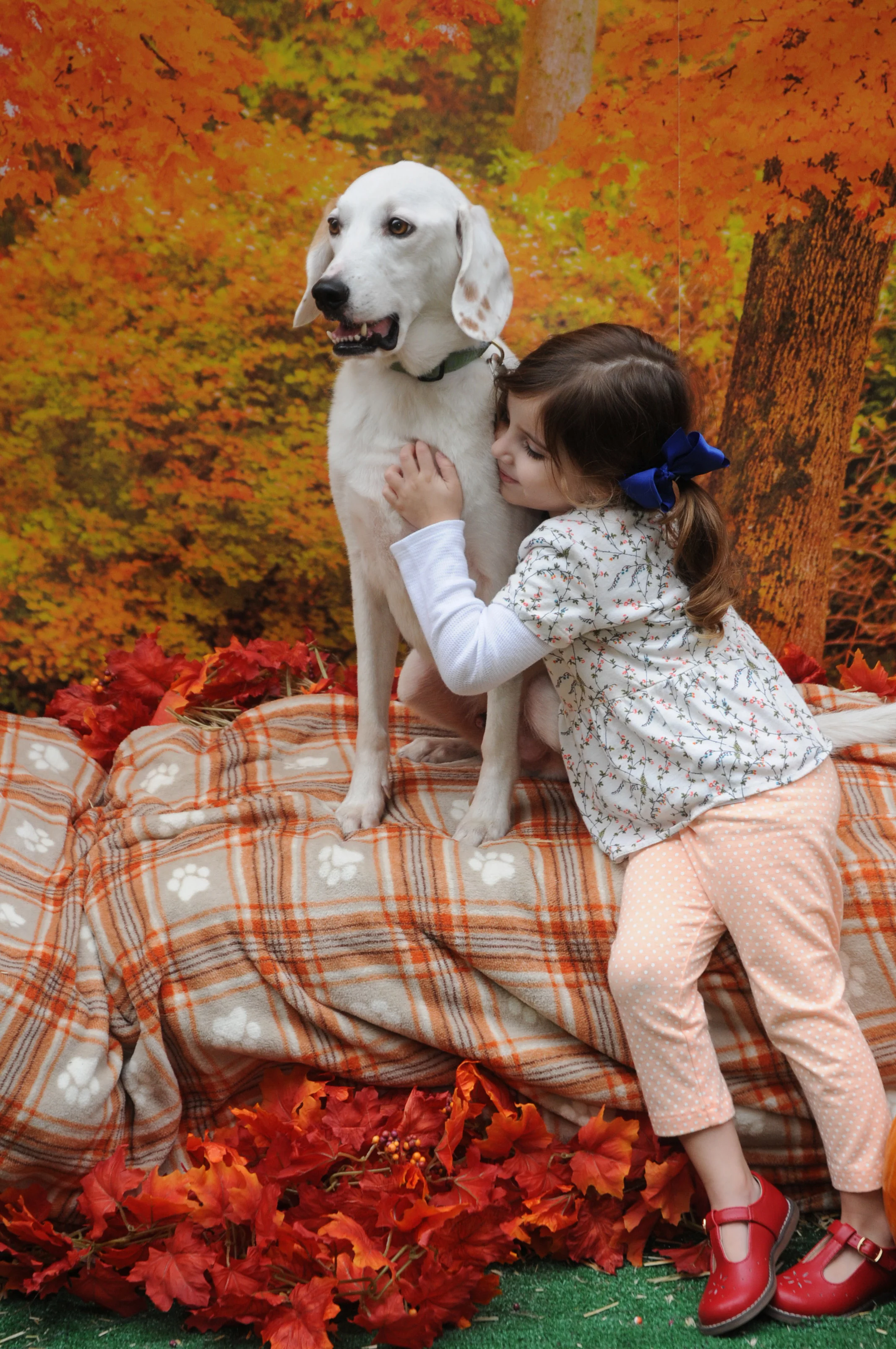 OrchardBlockParty-138