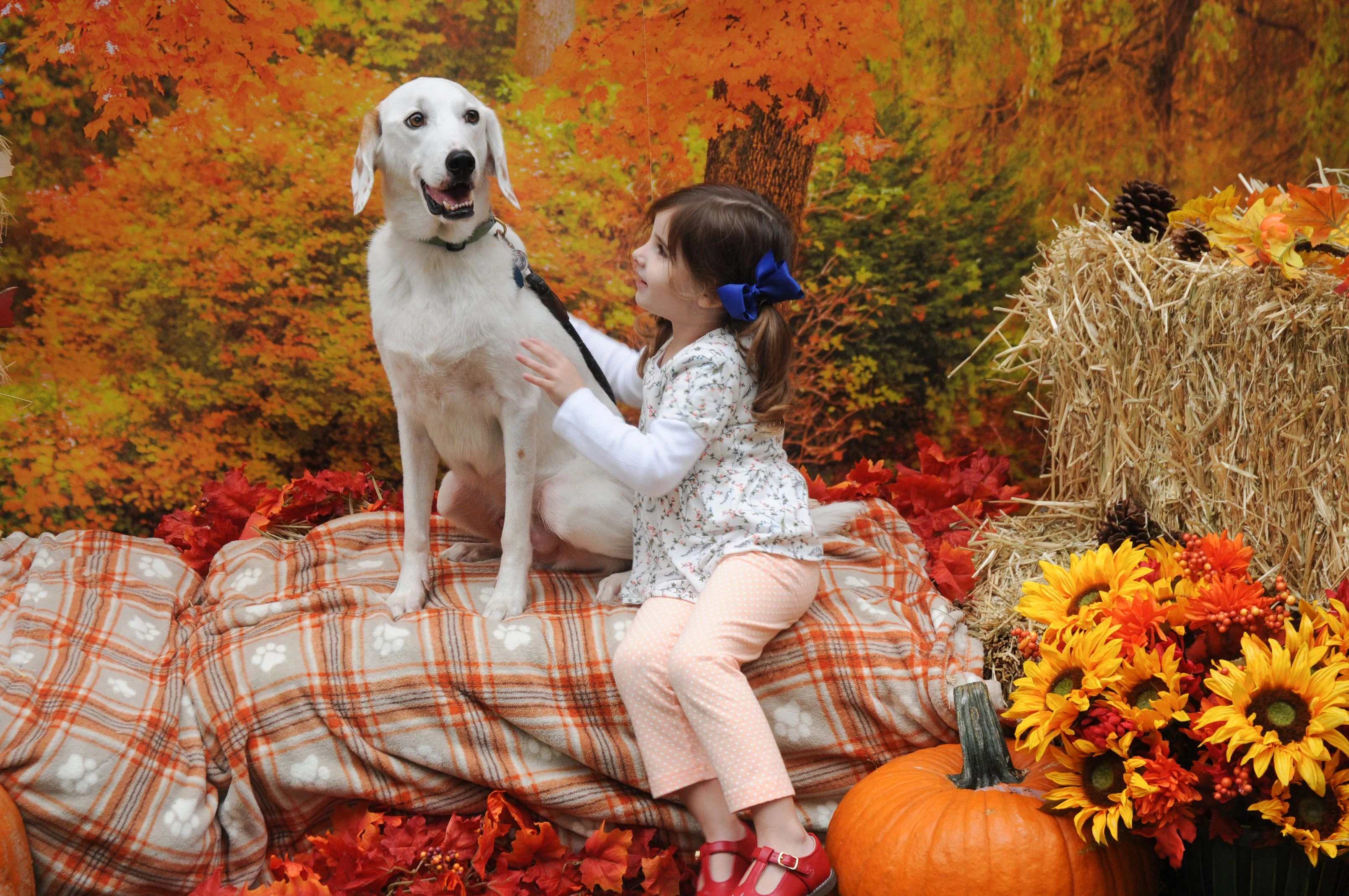 OrchardBlockParty-139