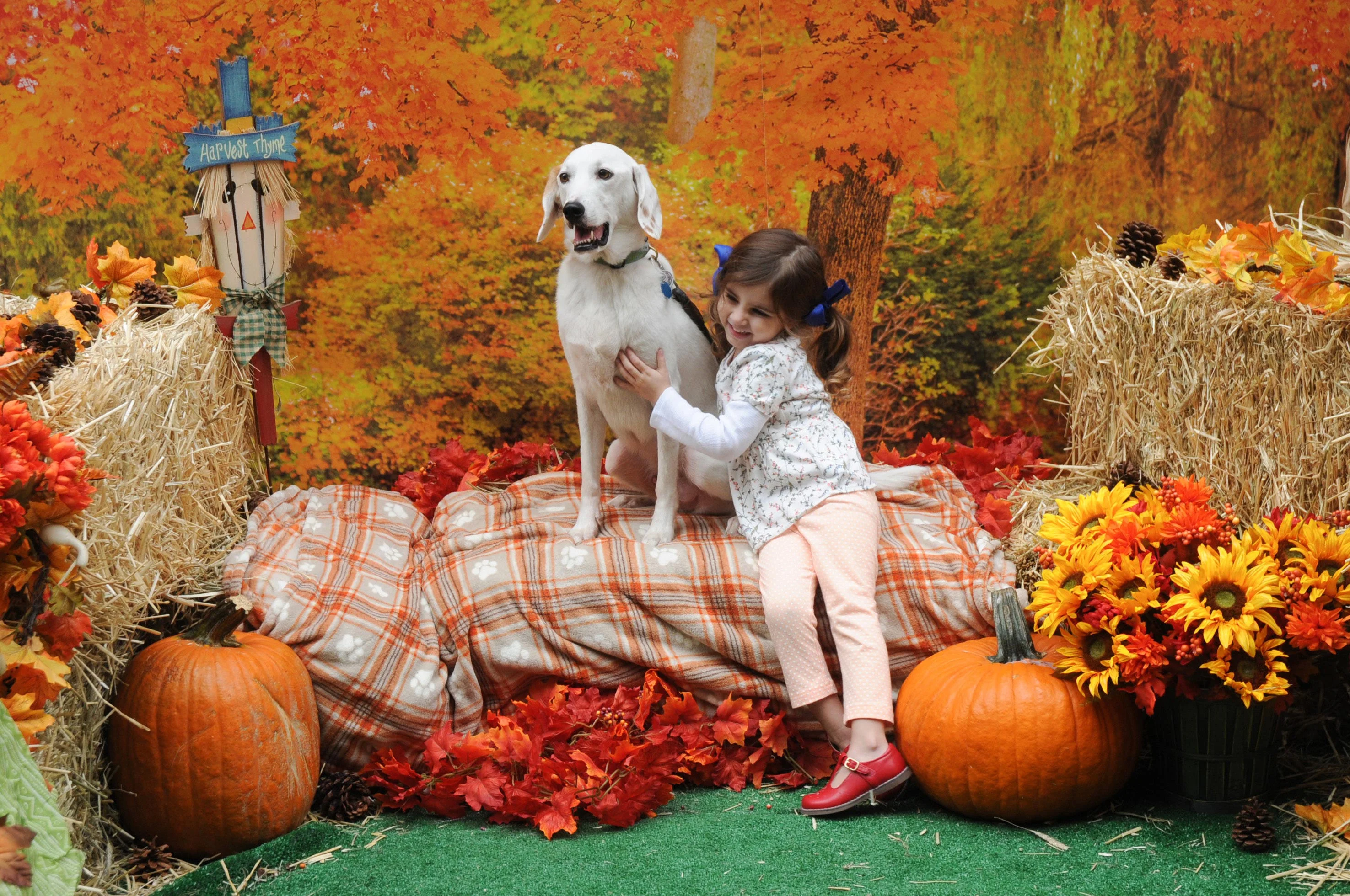 OrchardBlockParty-140