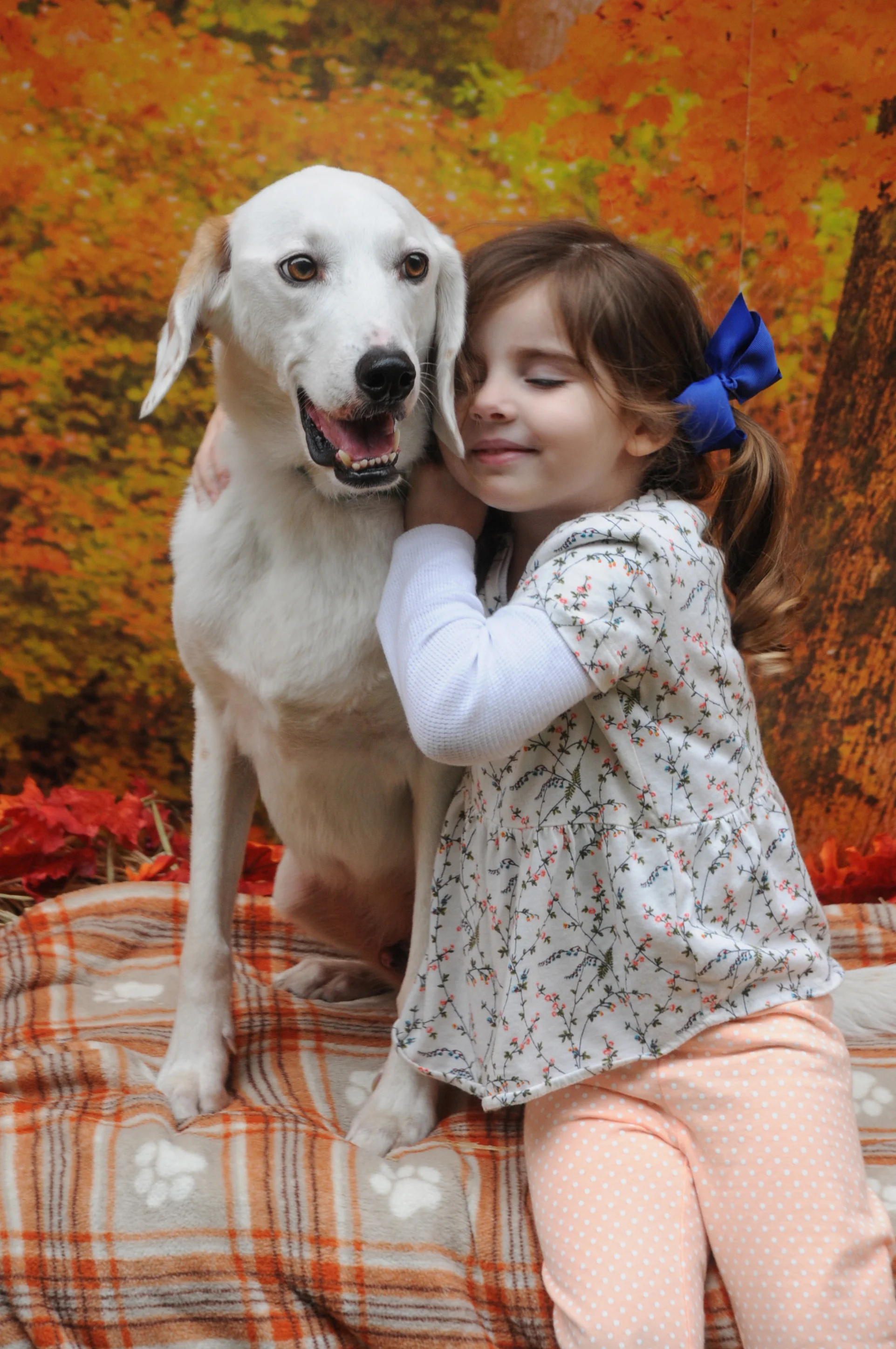 OrchardBlockParty-142