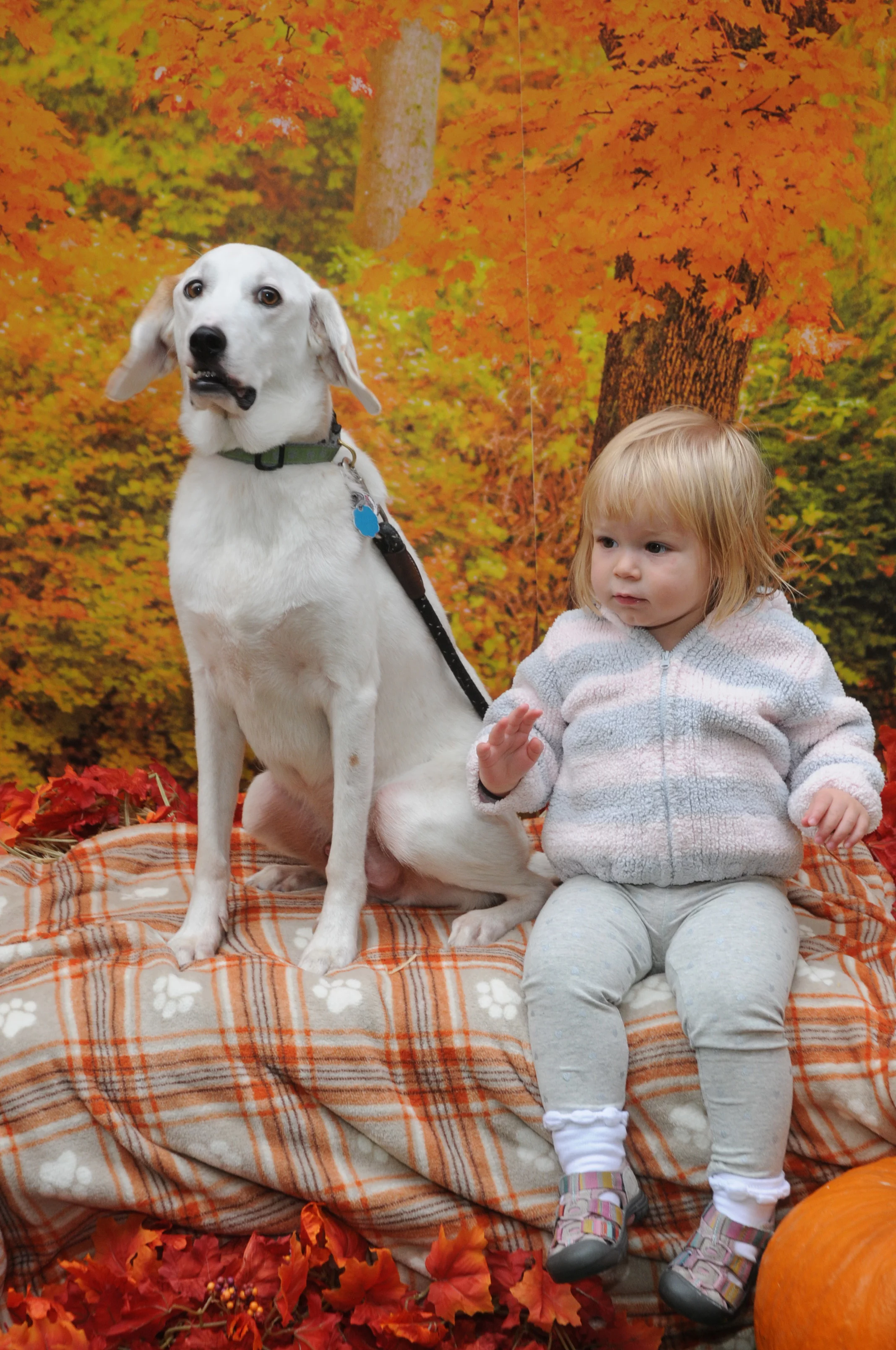 OrchardBlockParty-143