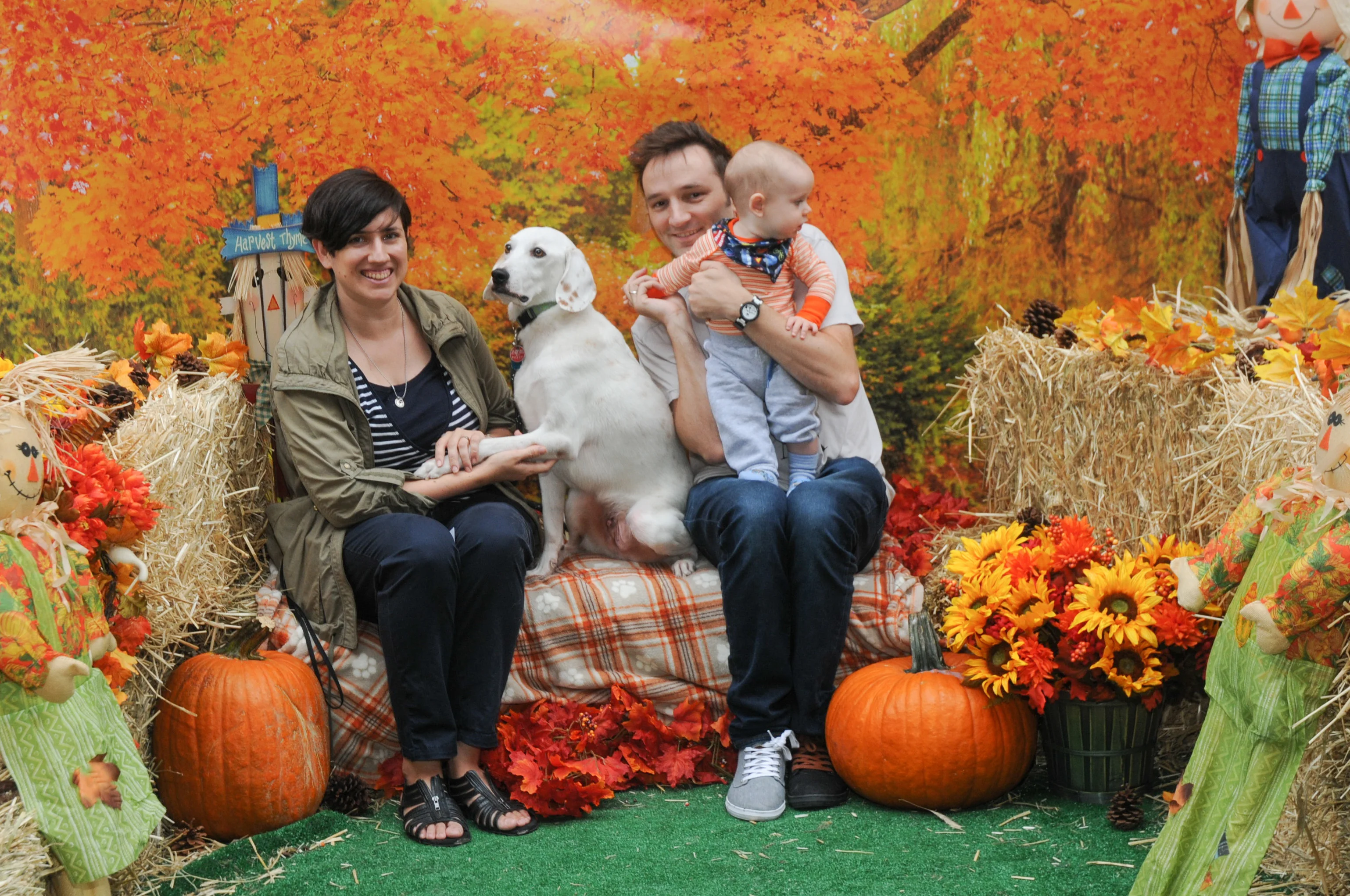 OrchardBlockParty-147