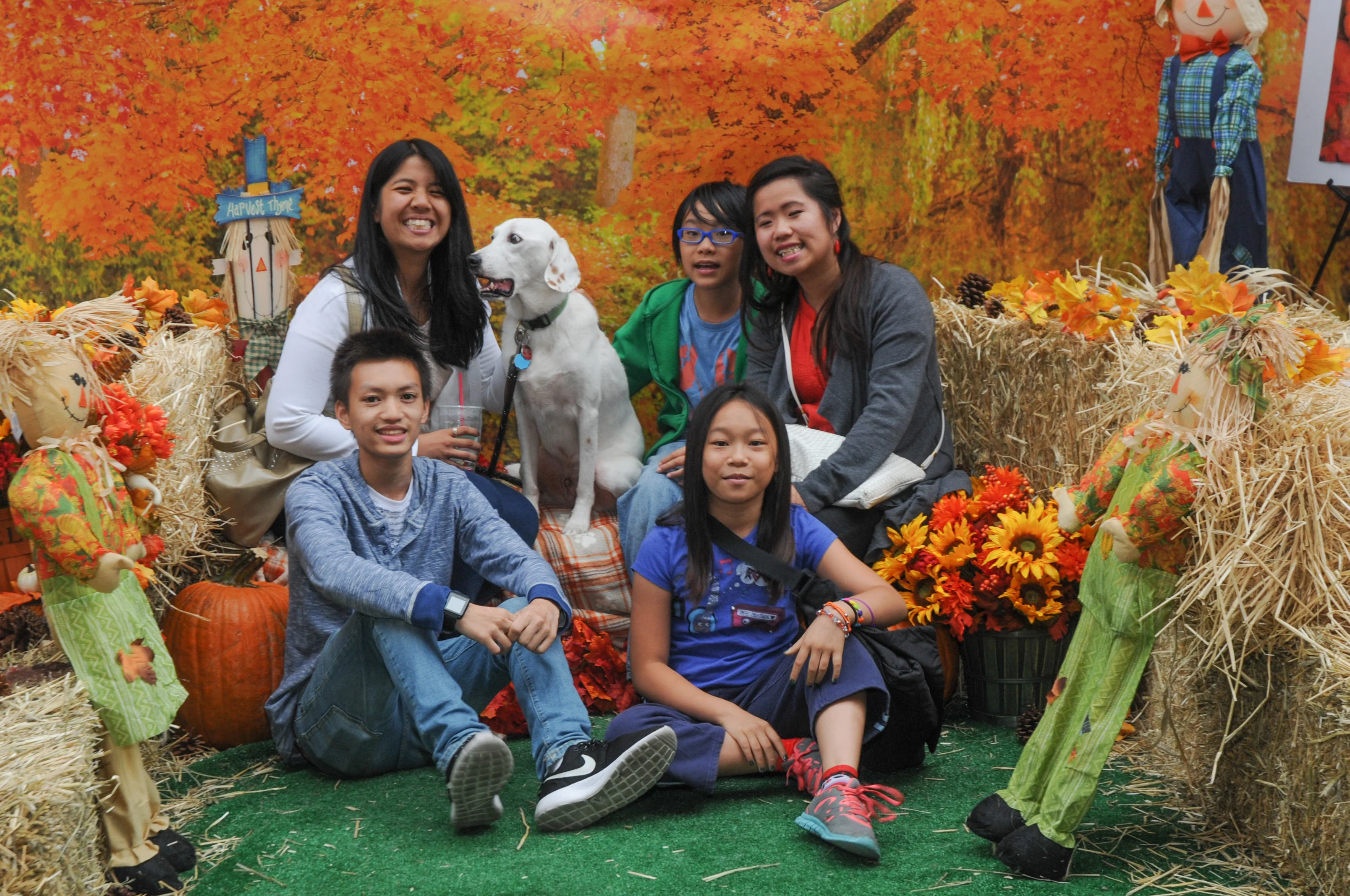 OrchardBlockParty-149