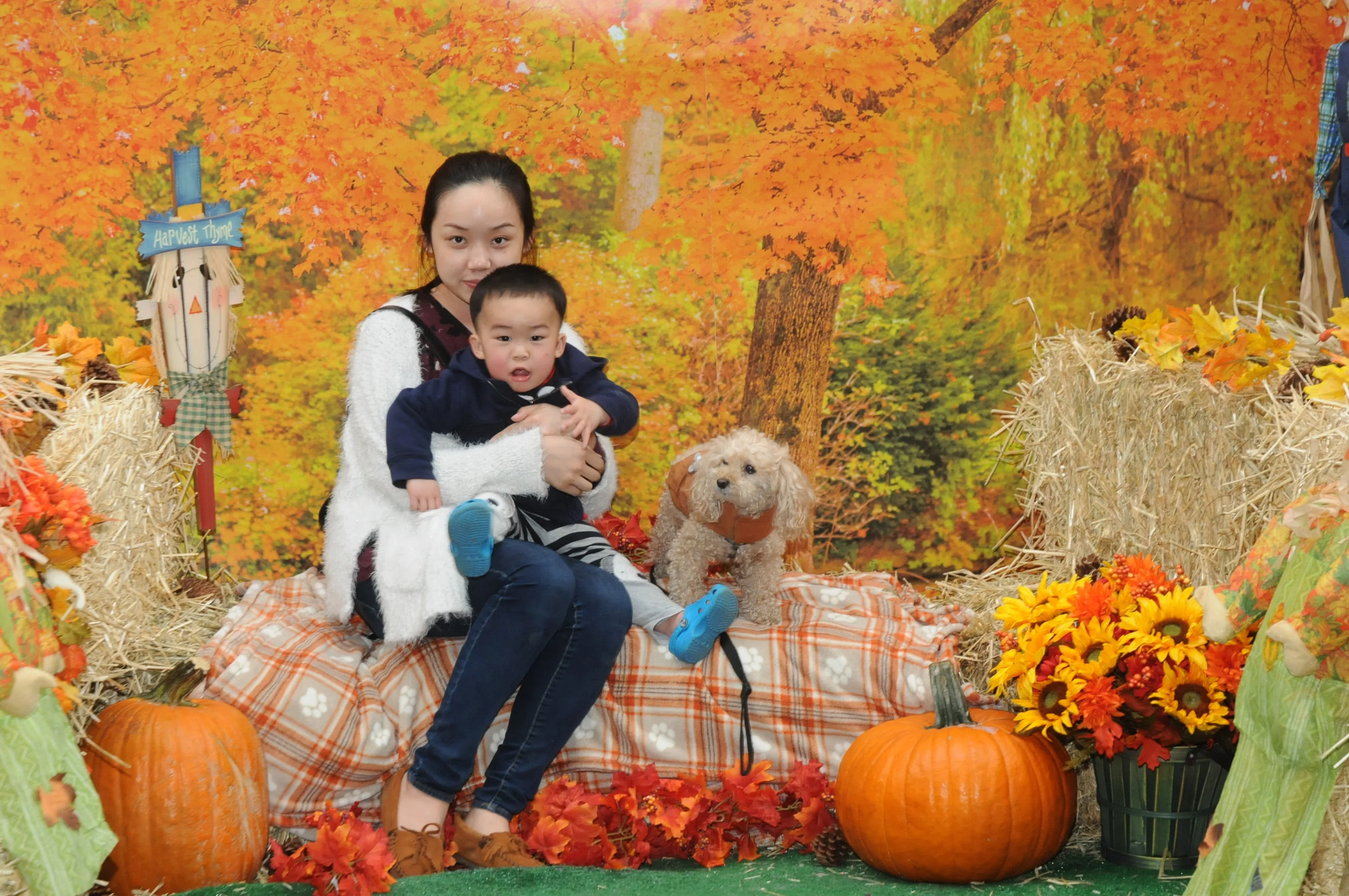 OrchardBlockParty-188