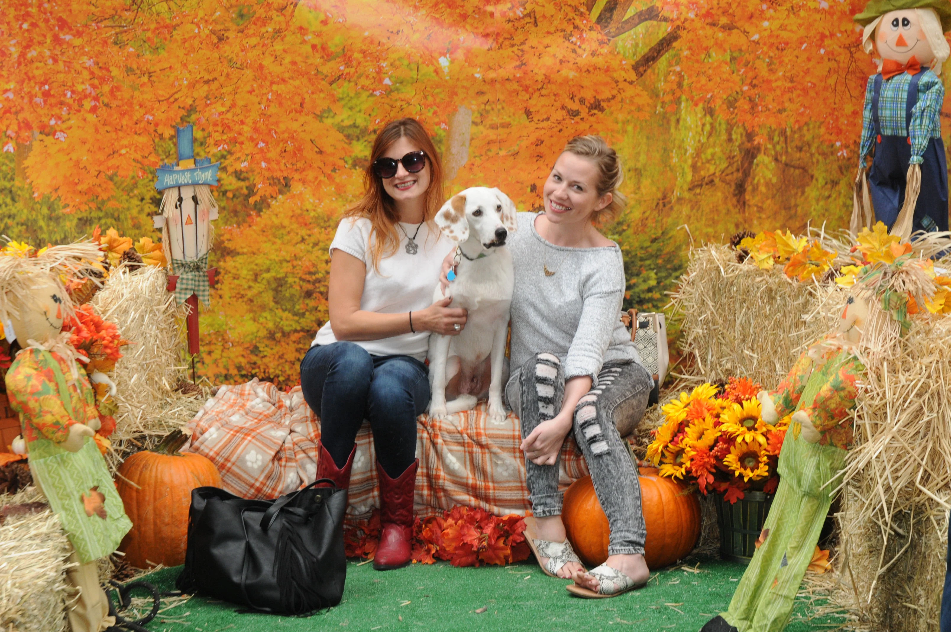 OrchardBlockParty-191