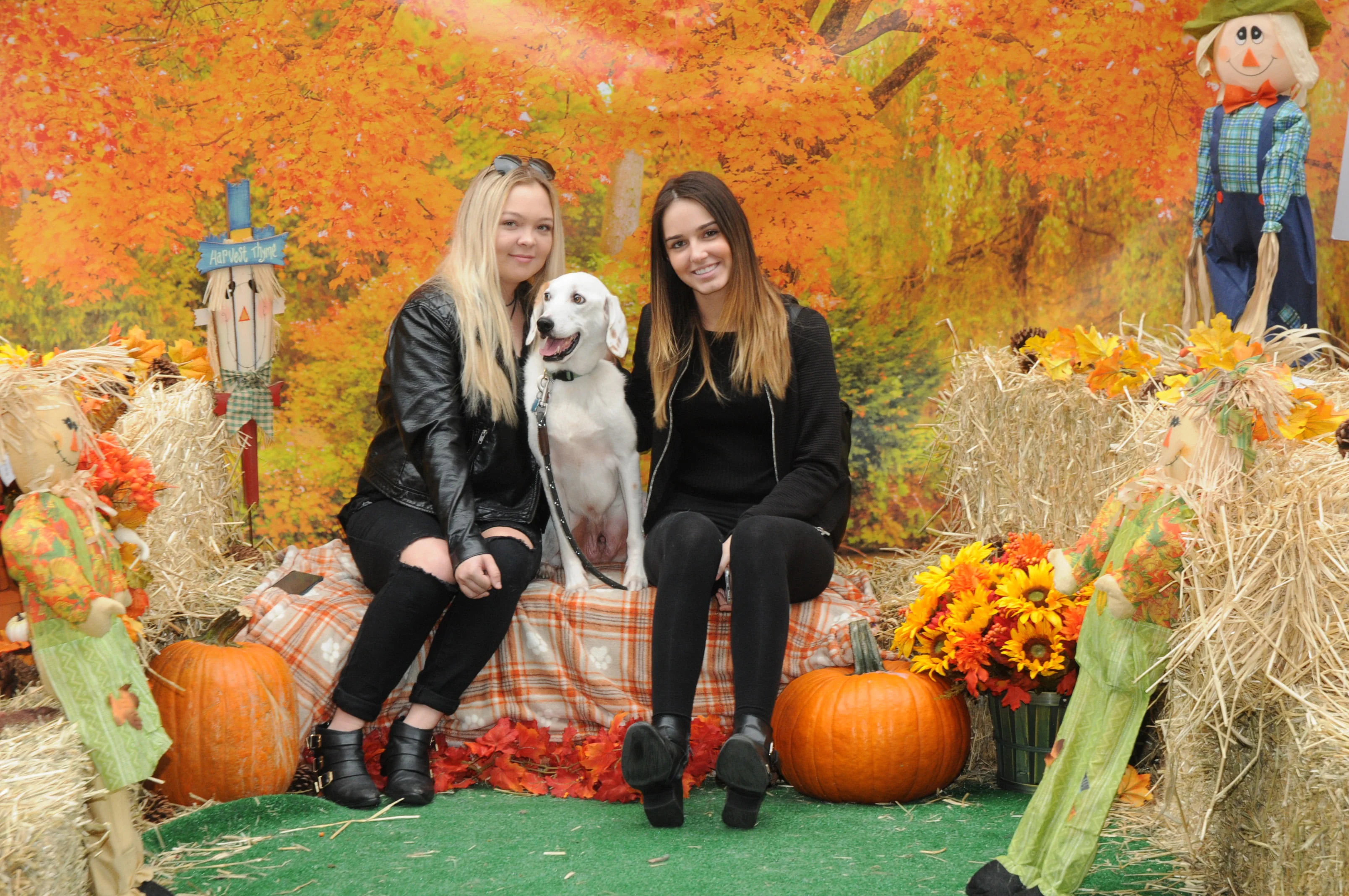 OrchardBlockParty-192