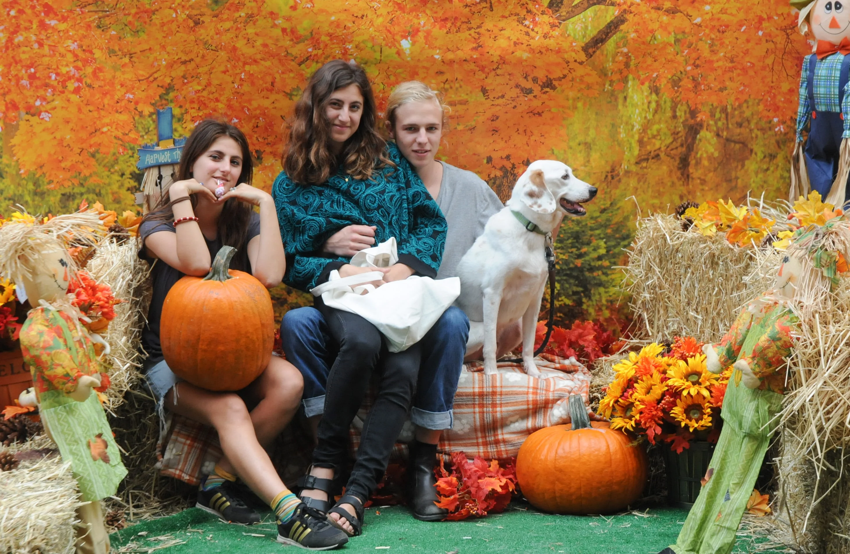 OrchardBlockParty-199