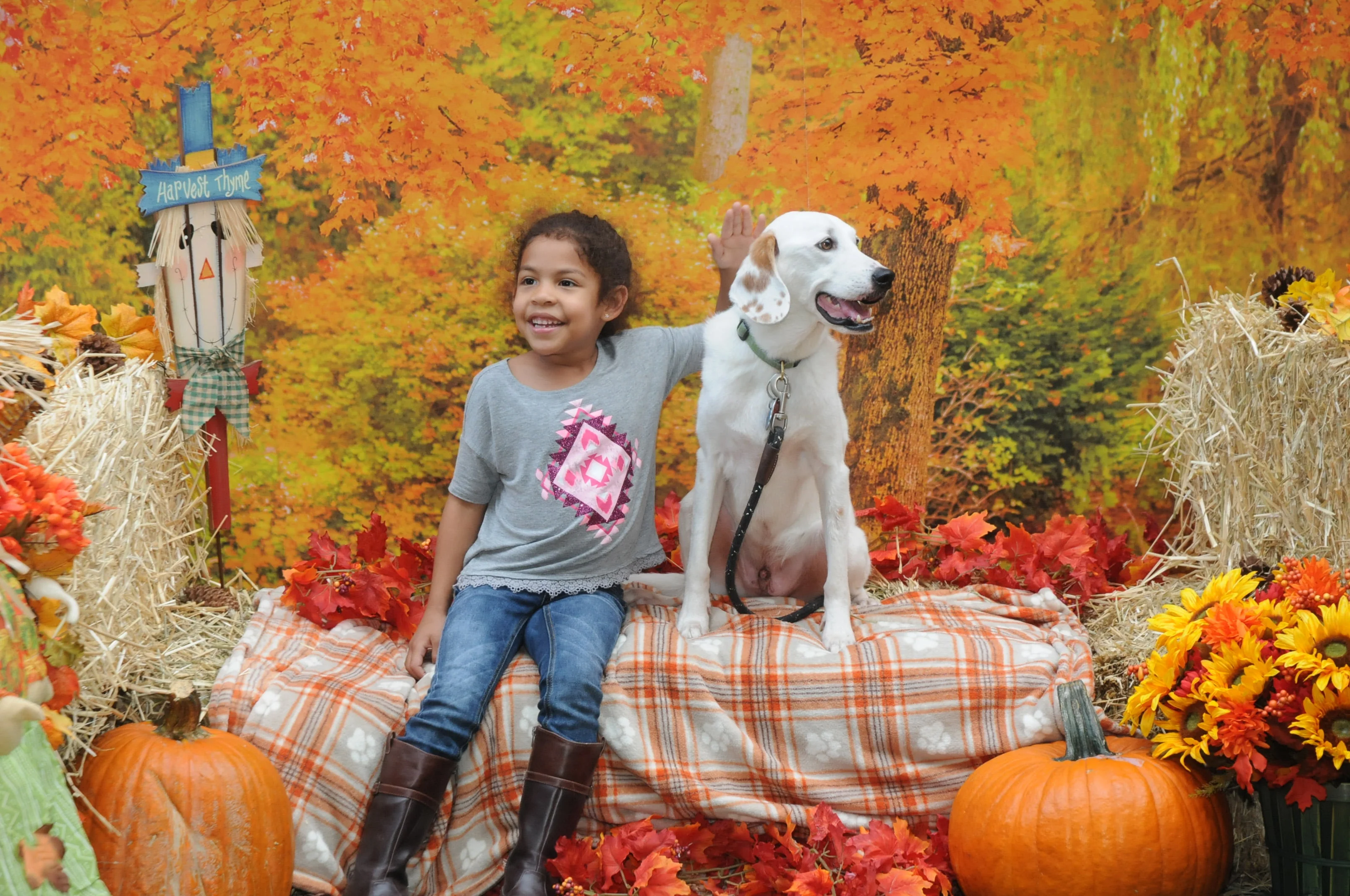 OrchardBlockParty-201