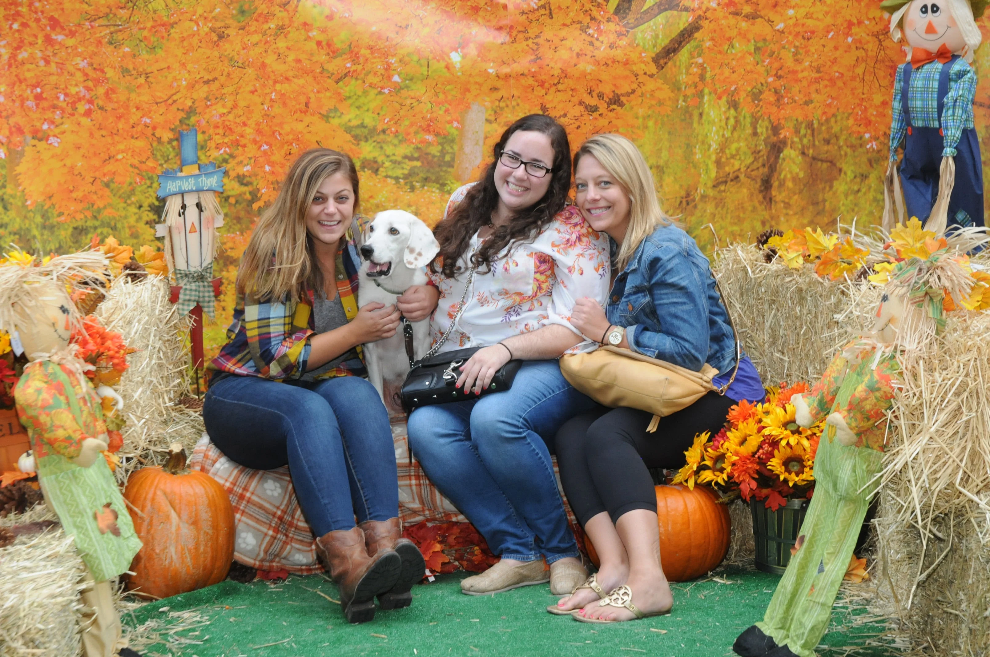 OrchardBlockParty-202