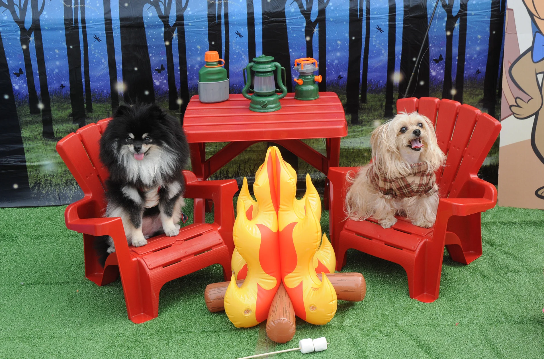 ComeCamping-158