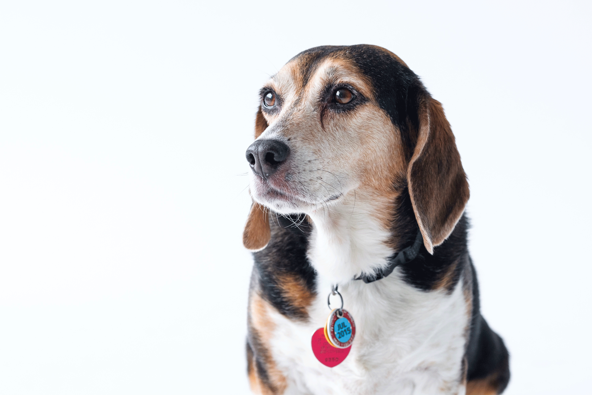 profile-jax